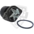 PAI 181823 Engine Water Pump Assembly KIT,W.P.ASSY