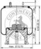 AS8781 by CONTITECH - AIR SPRING 65360/8557