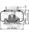ContiTech AS9033 Suspension Air Spring Kit CONTITECH AIR SPRING 64430/1R12-351/8328