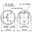 AS9579 by CONTITECH - AIR SPRING 66447/1R13-119