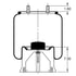 AS-8855 by TRIANGLE SUSPENSION - Triangle Air Spr - Rolling Lobe