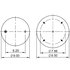 AS-8932 by TRIANGLE SUSPENSION - Triangle Air Spr - Rolling Lobe