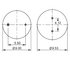 AS-8447 by TRIANGLE SUSPENSION - Triangle Air Spr - Rolling Lobe