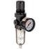 4300 by PLEWS - Filter/Regulator, Mini, 1/4"