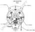 8HC2027PA by LEECE NEVILLE - High Output Alternator