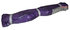 20-ENR1x12 by ANCRA - Lifting Sling - 1 in. x 144 in., Purple, Endless Round