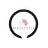 Meritor M1316980 Manual Transmission Differential Mach Transmission Snap Ring