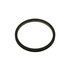 Cummins 3080770 Seal Ring / Washer Seal Ring / Washer