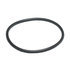 Cummins 3089025 Seal Ring / Washer Seal Ring / Washer