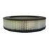 ACDelco A3019C Engine Air Filter Air Filter