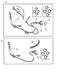 82206301 by CHRYSLER - WIRING PACKAGE. Trailer Tow. Diagram 1