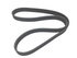 6100672 by DAYCO - POLY RIB BELT, DAYCO