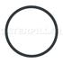 Caterpillar 9T3848 GASKET