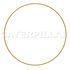 Caterpillar 6V3580 RING
