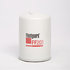 FF201 by FLEETGUARD - Fuel Filter - Spin-On, 5.42 in. Height, Case IH A58713