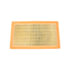 Fleetguard AF25423 Engine Air Filter Air Filter, Panel