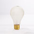 100ARS by EIKO - A21 Frosted Incandescent Light Bulb, Medium Screw (E26), 100 Watts, 130V