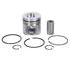 3802160 by CUMMINS - CUMMINS ENGINES ORIGINAL OEM, KIT, PISTON, STANDARD