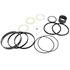 87367429 by CASE-REPLACEMENT - REPLACES CASE, SEAL KIT, CYLINDER, HYDRAULIC, BACKHOE BOOM