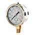 hpgs200 by BUYERS PRODUCTS - Multi-Purpose Pressure Gauge - Silicone Filled, Stem Mount, 0-200 PSI