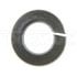 Dorman 799-030 Multi-Purpose Washer Split Lock Washer-Grade 5- 1/4 In.