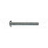 850-720 by DORMAN - Stove Bolt With Nuts - 1/4-20 x 2 In.