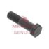 Meritor 41X1334 Screw Cap Screw Cap - for Differential Case to Gear