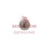 Meritor 1228K37 Manual Transmission Input Shaft Bearing Manual Transmission Input Shaft Bearing