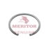 1229N2432 by MERITOR - Multi-Purpose Snap Ring - 0.094 in. Diameter