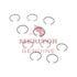 KIT 530 by MERITOR - Differential Snap Ring Kit