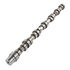 WA902-04-2116 by WORLD AMERICAN - Engine Camshaft - Fits Cummins 6BT