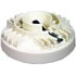 ACDelco D436X Distributor Rotor Ignition Distributor Rotor