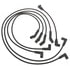ACDelco 9704J Spark Plug Wire Set Spark Plug Wire Set