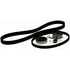 ACDelco TCK244 Engine Timing Belt Component Kit Timing Belt Kit with 2 Belts and 2 Tensioners