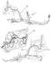 56042169AB by CHRYSLER - WIRING. Left. Power Seat. Diagram 2