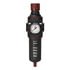 FR500G by READING TECHNOLOGIES (RTI) - Paint Gun Regulator, 0-160 PSI Gauge Range, 1/2 in. NPT Inlet/Oulet