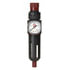 FR250G by READING TECHNOLOGIES (RTI) - Filter/Regulator with Gauge, 1/4"
