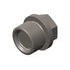 Cummins 3915787 Multi-Purpose Threaded Plug Multi-Purpose Threaded Plug