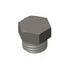 3863362 by CUMMINS - Pipe Plug - Threaded, for 14L 855 Engines