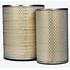 Fleetguard AA2901 Engine Air Filter Air Filter Kit, Dual Pack