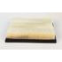 Fleetguard AF25090 Engine Air Filter Air Filter - Panel