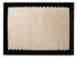 AF25754 by FLEETGUARD - Air Filter - 7.13 in. (Height), General Motors 25099149