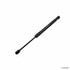 31670 by FEBI - Trunk Lid Lift Support for VOLKSWAGEN WATER