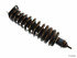 41-173435 by BILSTEIN - Shock Absorber