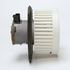 Delphi BM10019 BLOWER MOTOR & FAN