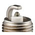 AP3923DP2 by AUTOLITE - Spark Plug