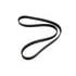 301-0560 by AUTO 7 - SERPENTINE BELT