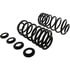 Centric 630.61081 Coil Spring Premium Coil Spring Set