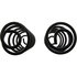 Centric 630.66086 Coil Spring Premium Coil Spring Set