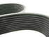 25502522 by MACK - Serpentine                     Belt